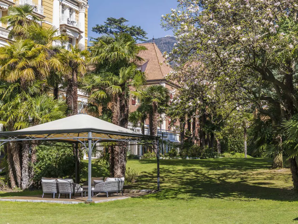 Classic – Detox & Oxidative Stress Relief